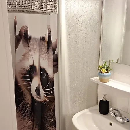 公寓 Raccoon Cave - Mit Pool Und Sauna 施卢赫湖